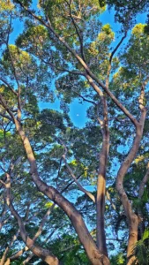 Photo of the Day: Sun ’n’ Moon
